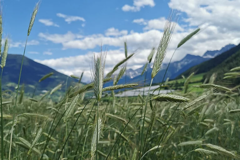 Responsibility & foresight are our guiding principles