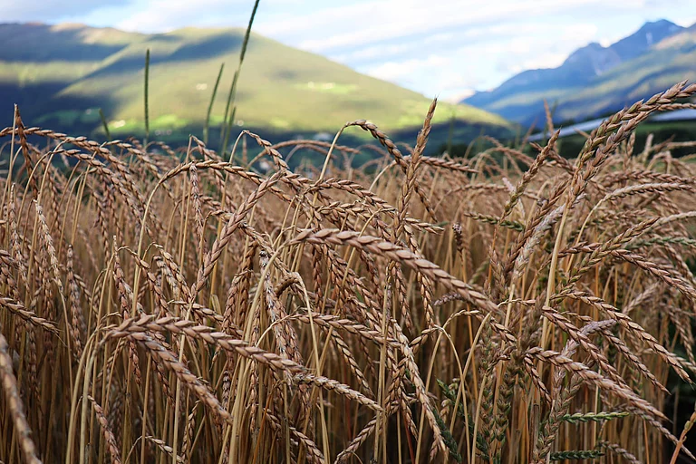 Responsibility & foresight are our guiding principles