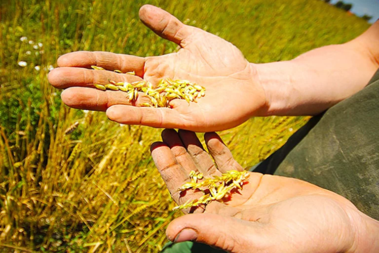 A love of nature guarantees the best raw materials