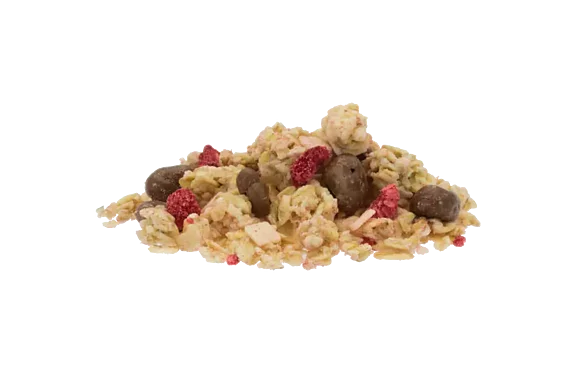 Oat Crunchy with Berries