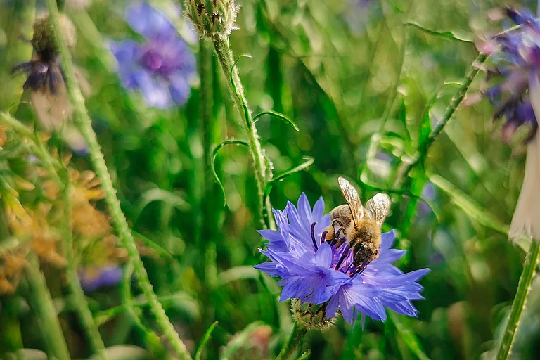 Responsibility & foresight are our guiding principles